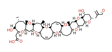 open A-ring Brevetoxin 1